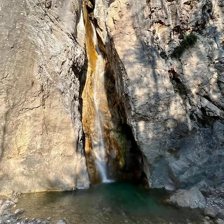 Appartement Junglehouse