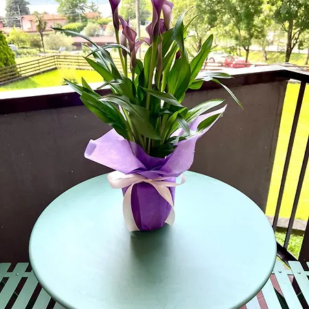 Junglehouse Appartement Abbadia Lariana