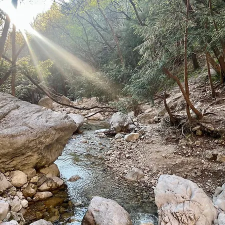 Διαμέρισμα Junglehouse *