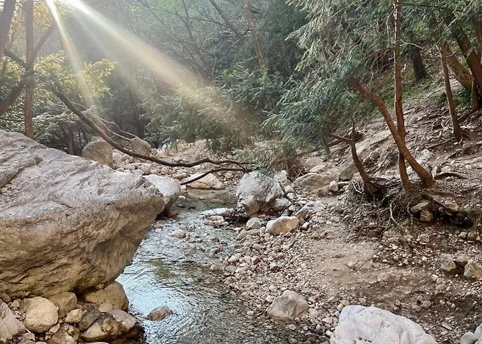 Διαμέρισμα Junglehouse *