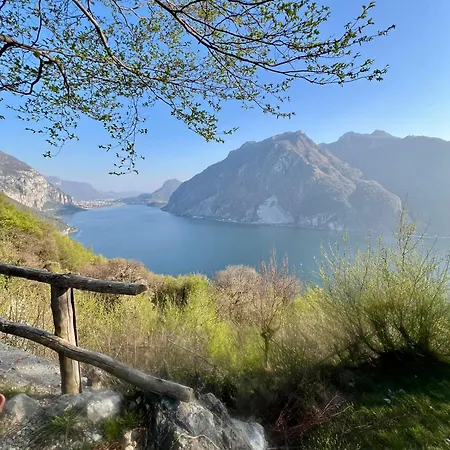 Junglehouse Appartamento