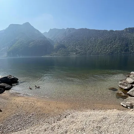 Junglehouse Appartamento